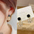 CEDH340 BTO Square Ear Drop Earrings Pair